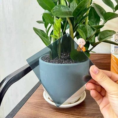 UV 저항성 회색 폴리카보네이트 솔리드 시트 1.0mm-18.0mm 두께